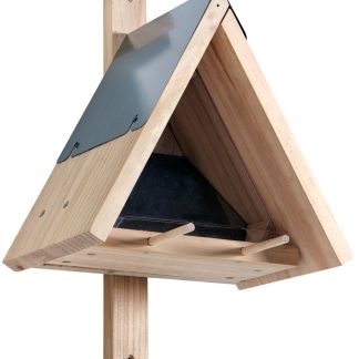 Terra Kids Kit Comedero para pájaros